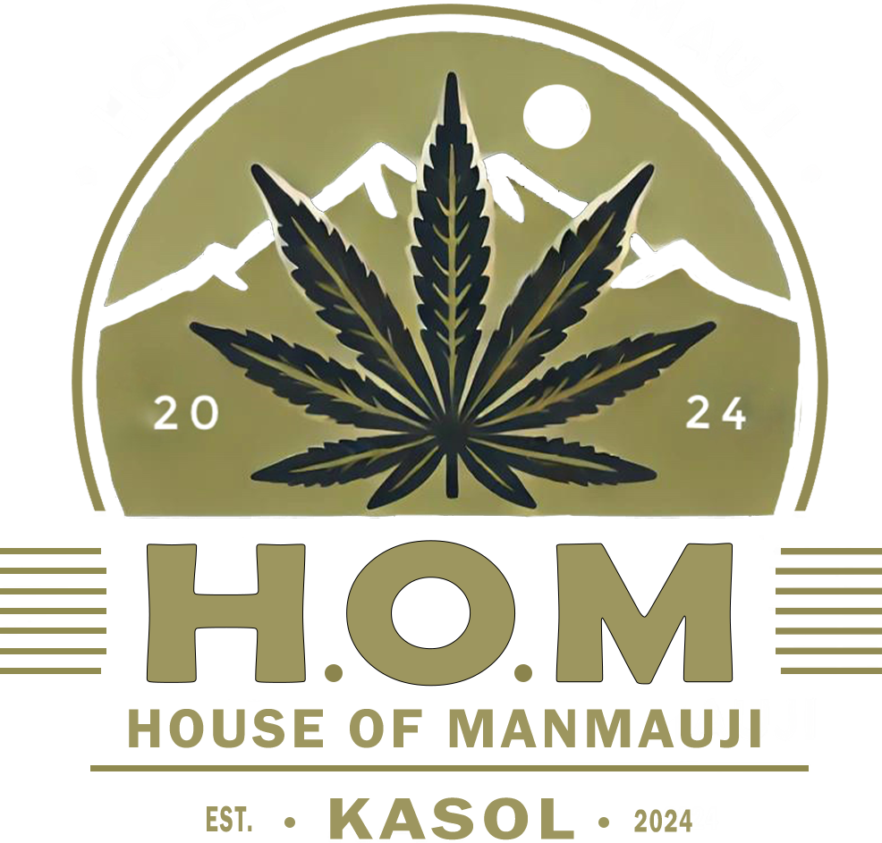 HOM House of ManMauji Riverside Kasol
